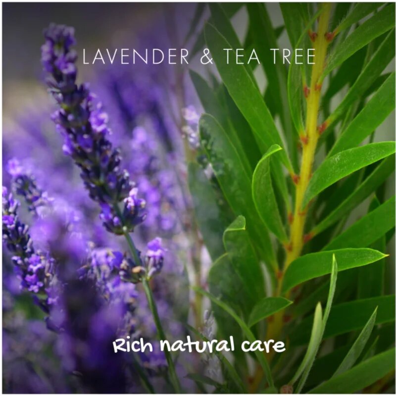 Friendly Soap Natural Shampoo Bar Lavender and Tea Tree naravno milo za lase 95 g