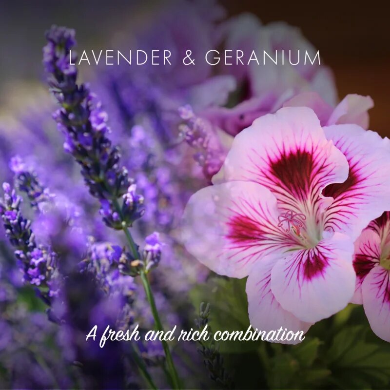 Friendly Soap Natural Shampoo Bar Lavender & Geranium naravno milo za lase 7x95 g