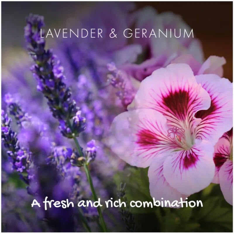 Friendly Soap Natural Shampoo Bar Lavender & Geranium naravno milo za lase 95 g