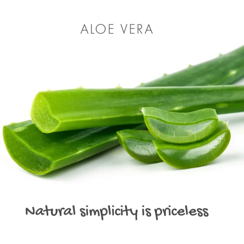 Friendly Soap Natural Soap Aloe Vera naravno milo 95 g