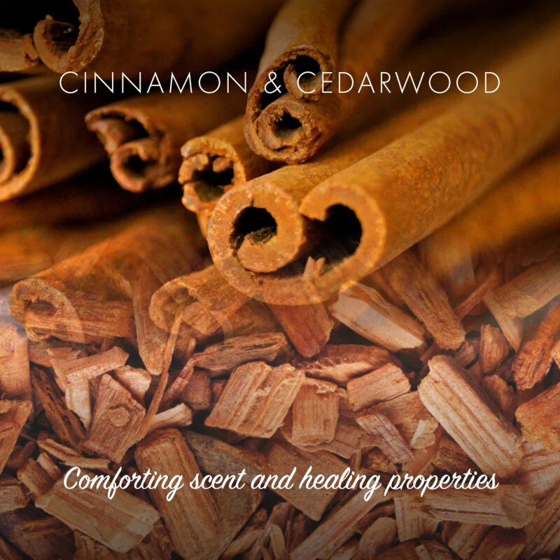 Friendly Soap Natural Soap Cinnamon naravno milo 7x95 g