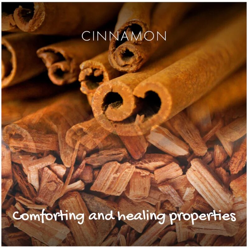 Friendly Soap Natural Soap Cinnamon naravno milo 95 g