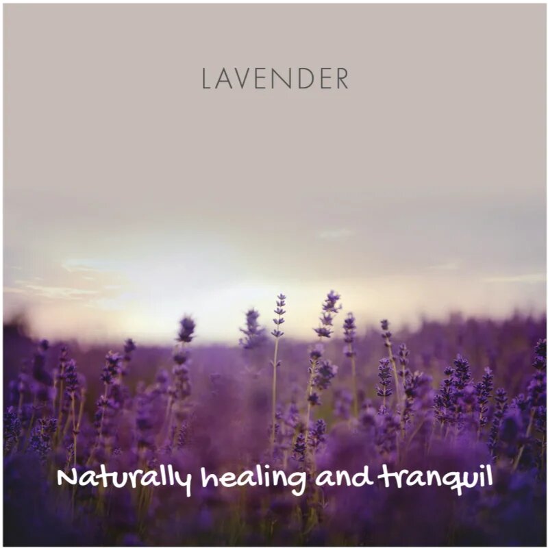 Friendly Soap Natural Soap Lavender naravno milo 95 g