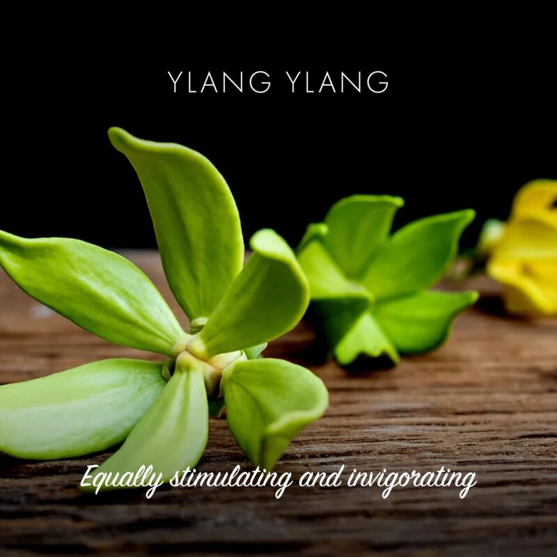 Friendly Soap Natural Soap Ylang Ylang naravno milo 7x95 g
