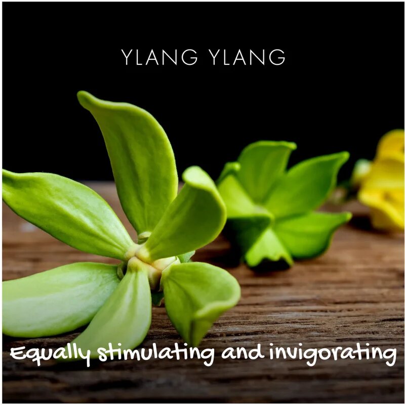 Friendly Soap Natural Soap Ylang Ylang naravno milo 95 g