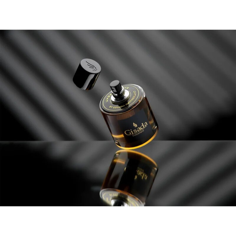 Gisada Ambassador parfumska voda za moške 100 ml