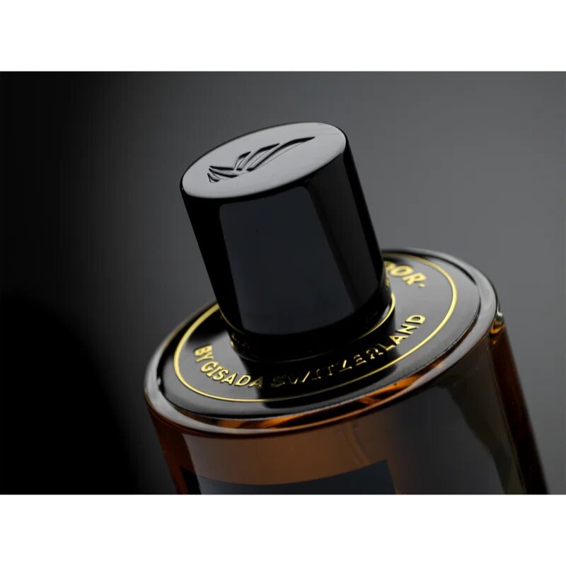 Gisada Ambassador parfumska voda za moške 50 ml