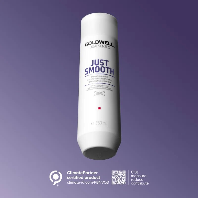 Goldwell Dualsenses Just Smooth šampon za glajenje las za neobvladljive lase 250 ml
