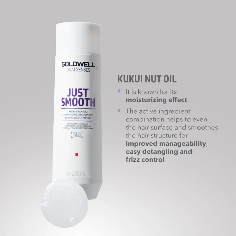 Goldwell Dualsenses Just Smooth šampon za glajenje las za neobvladljive lase 250 ml