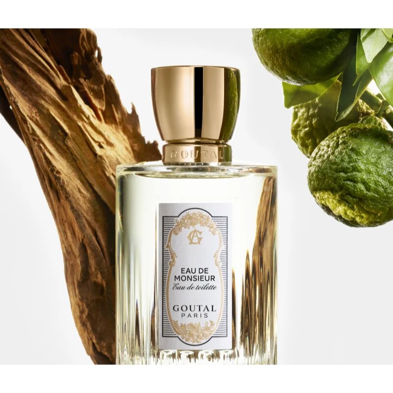 GOUTAL Eau de Monsieur toaletna voda za moške 100 ml