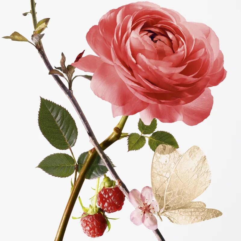 GOUTAL Rose Pompon toaletna voda za ženske 100 ml