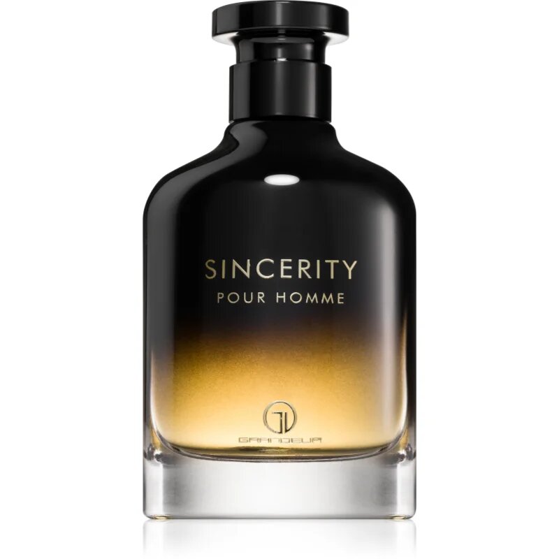Grandeur Sincerity parfumska voda za moške 100 ml