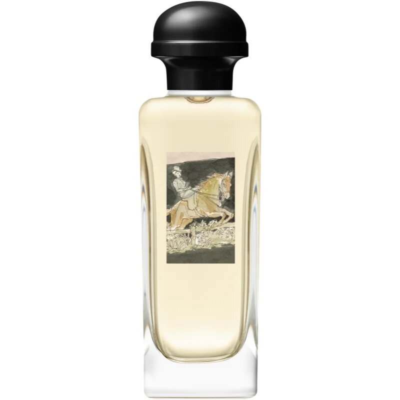 HERMÈS Amazone Eau de Toilette toaletna voda za ženske 100 ml