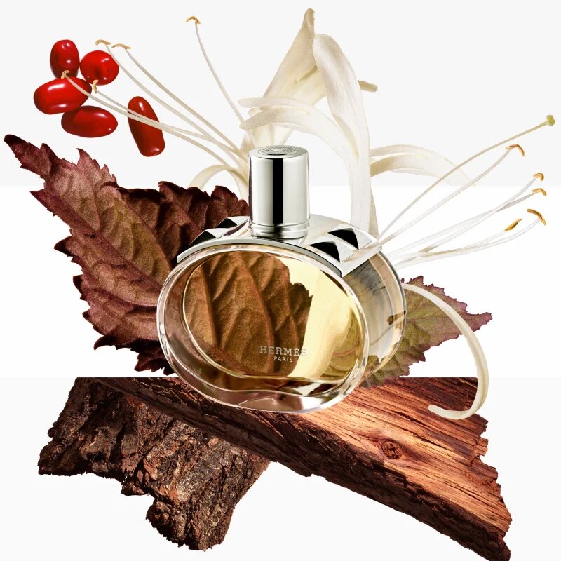 HERMÈS Barénia Eau de Parfum parfumska voda za ženske 60 ml