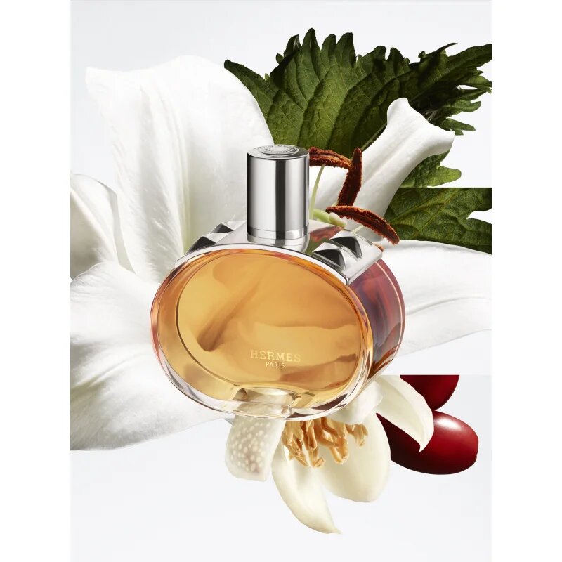 HERMÈS Barénia Pleine Fleur Eau de Parfum parfumska voda za ženske 100 ml