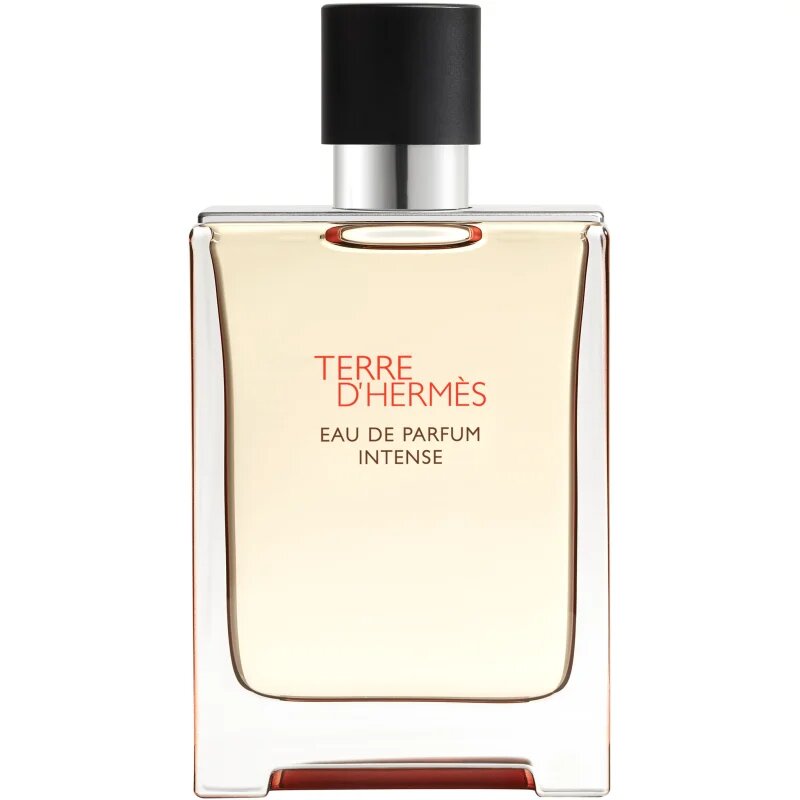 HERMÈS Terre d’Hermès Eau de Parfum Intense parfumska voda intense za moške 100 ml