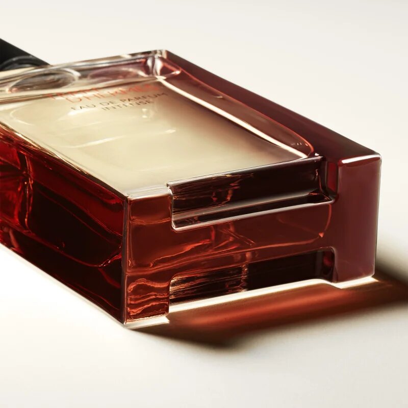 HERMÈS Terre d’Hermès Eau de Parfum Intense parfumska voda intense za moške 100 ml
