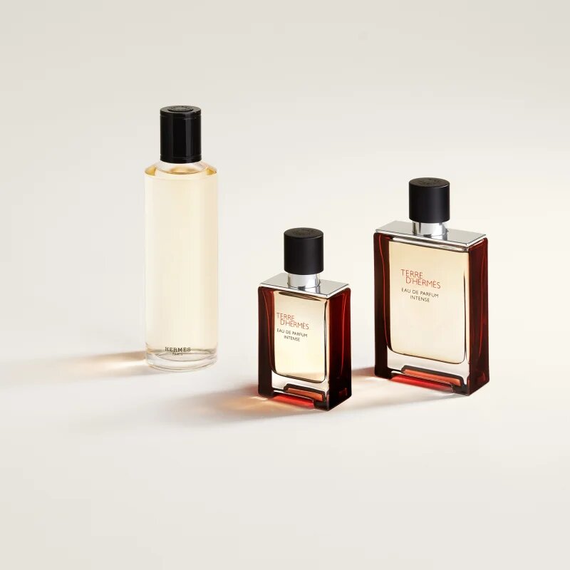 HERMÈS Terre d’Hermès Eau de Parfum Intense parfumska voda intense za moške 100 ml