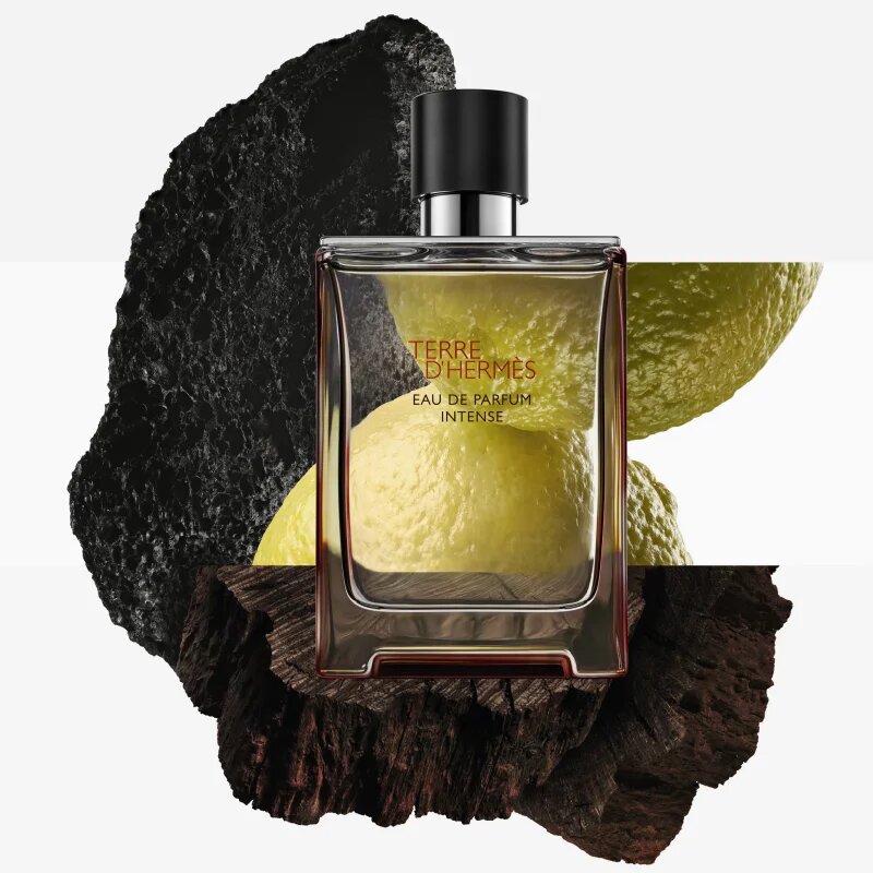HERMÈS Terre d’Hermès Eau de Parfum Intense parfumska voda intense za moške 100 ml