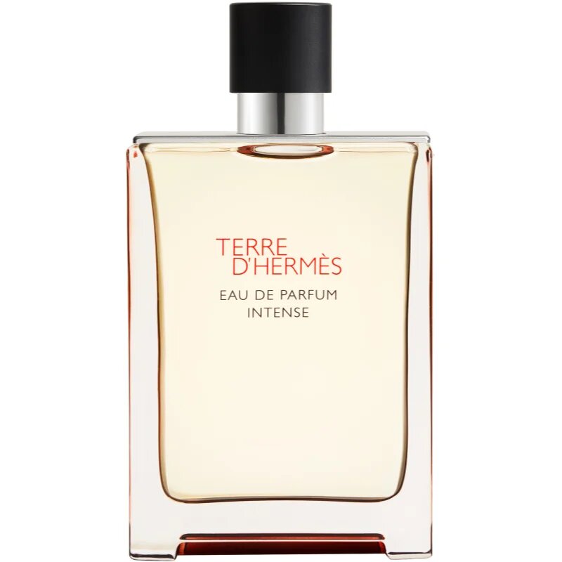 HERMÈS Terre d’Hermès Eau de Parfum Intense parfumska voda intense za moške 175 ml