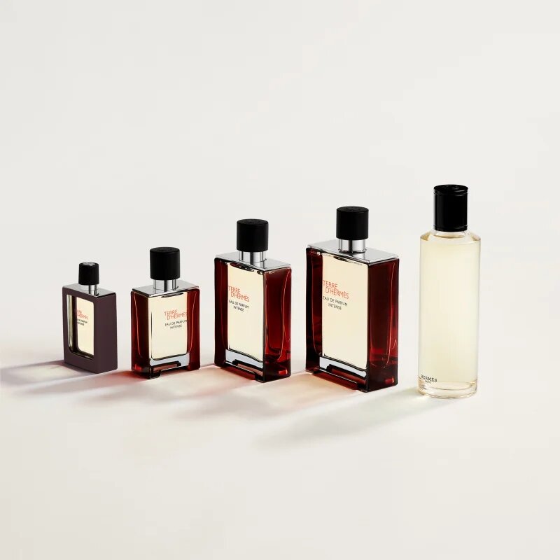 HERMÈS Terre d’Hermès Eau de Parfum Intense parfumska voda intense za moške 30 ml