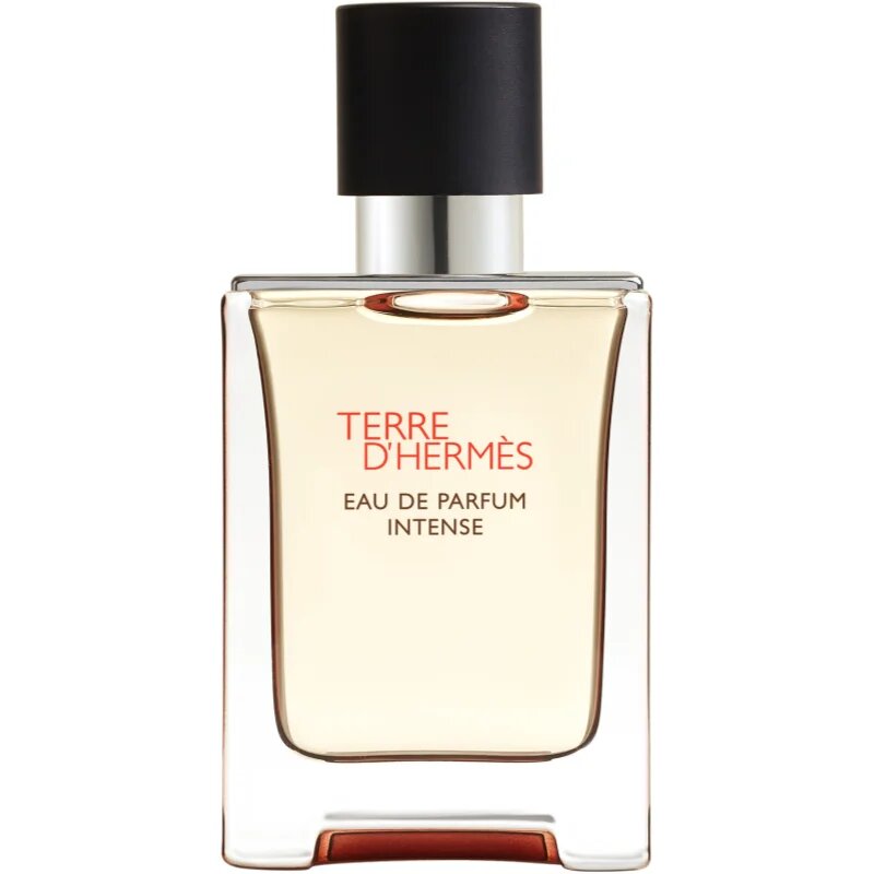 HERMÈS Terre d’Hermès Eau de Parfum Intense parfumska voda intense za moške 50 ml
