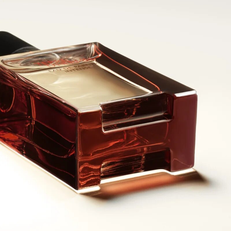 HERMÈS Terre d’Hermès Eau de Parfum Intense parfumska voda intense za moške 50 ml