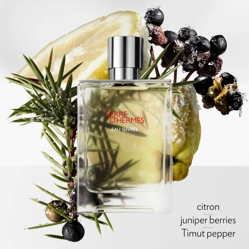 HERMÈS Terre d’Hermès Eau Givrée parfumska voda polnilna za moške 175 ml
