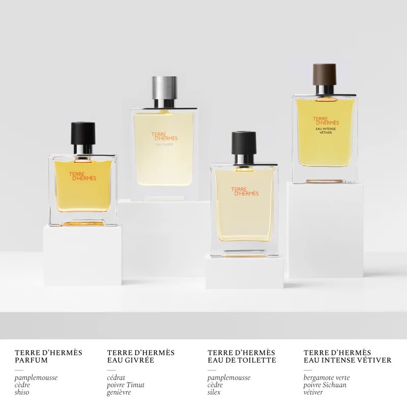 HERMÈS Terre d’Hermès Eau Givrée parfumska voda polnilna za moške 175 ml