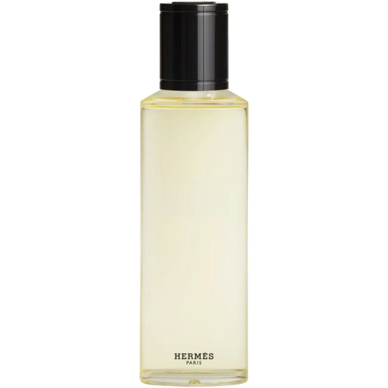 HERMÈS Terre d’Hermès Eau Givrée parfumska voda polnilna za moške 200 ml