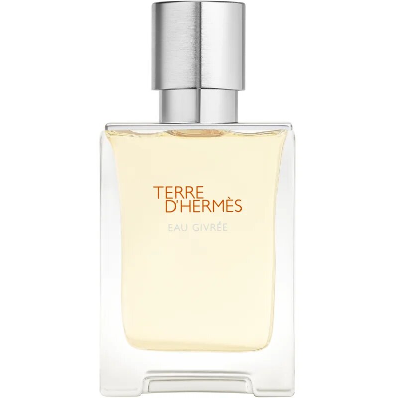 HERMÈS Terre d’Hermès Eau Givrée parfumska voda polnilna za moške 50 ml