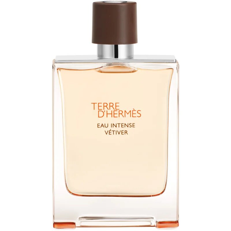 HERMÈS Terre d’Hermès Eau Intense Vétiver parfumska voda za moške 100 ml