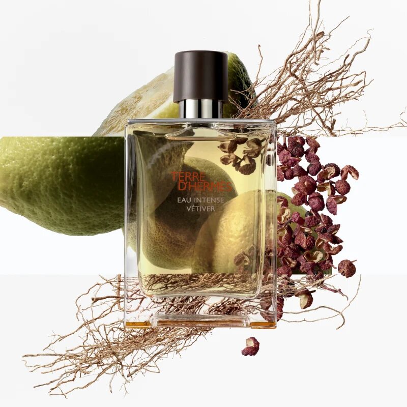 HERMÈS Terre d’Hermès Eau Intense Vétiver parfumska voda za moške 100 ml