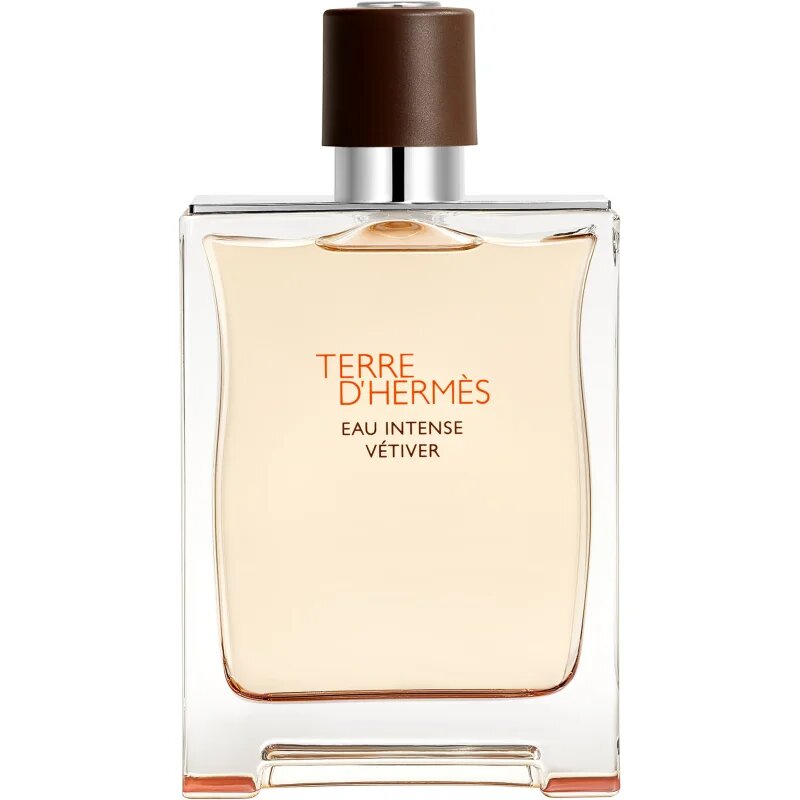 HERMÈS Terre d’Hermès Eau Intense Vétiver parfumska voda za moške 200 ml