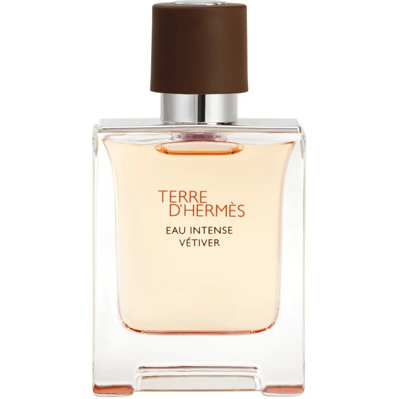 HERMÈS Terre d’Hermès Eau Intense Vétiver parfumska voda za moške 50 ml