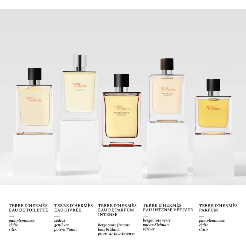 HERMÈS Terre d’Hermès Eau Intense Vétiver parfumska voda za moške 50 ml