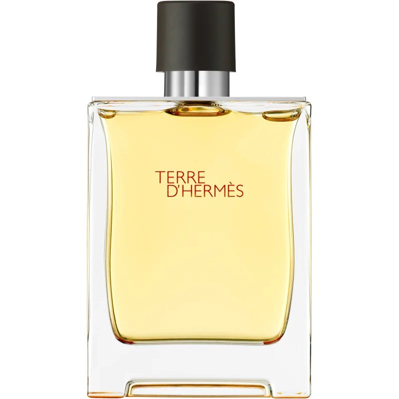 HERMÈS Terre d’Hermès parfum za moške 200 ml