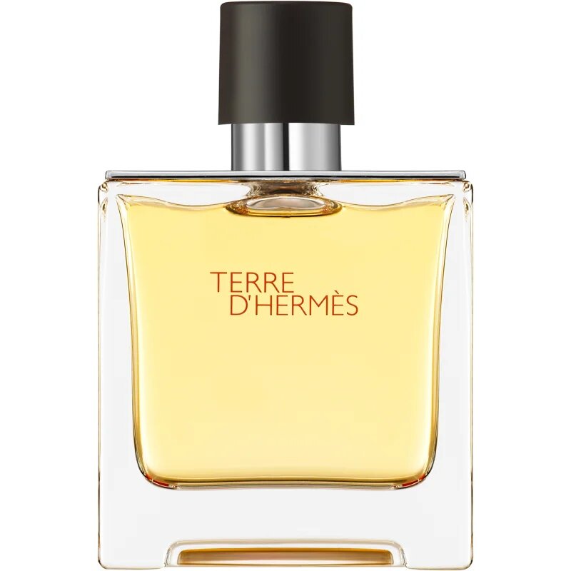HERMÈS Terre d’Hermès parfum za moške 75 ml