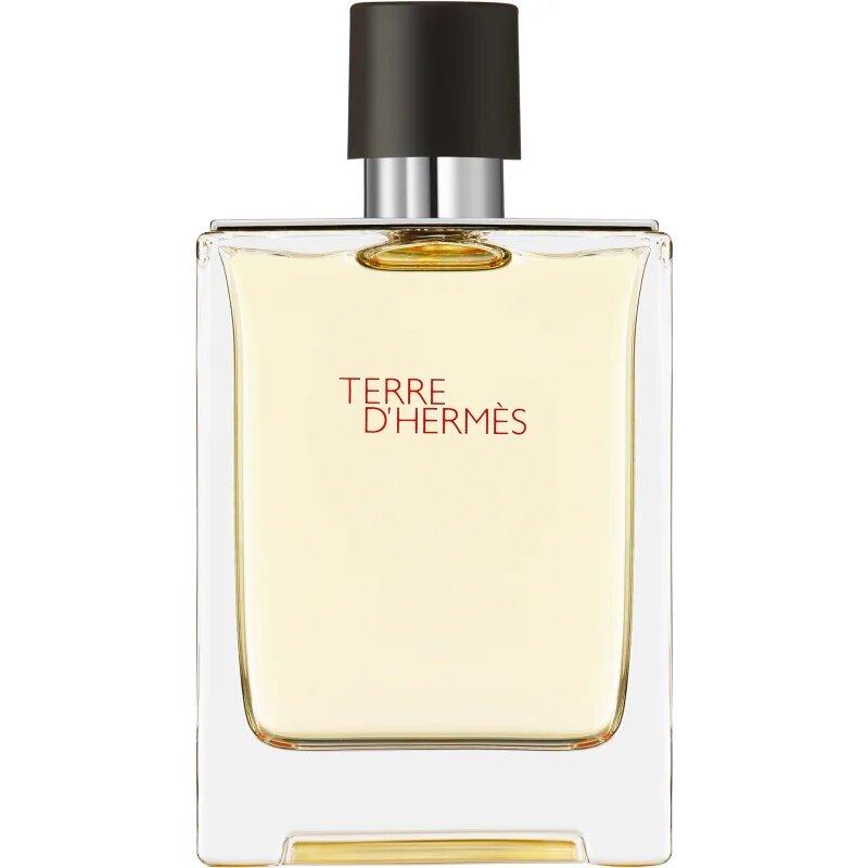 HERMÈS Terre d’Hermès toaletna voda za moške 100 ml