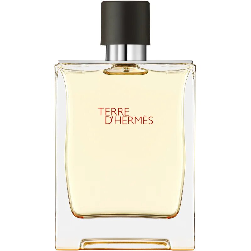 HERMÈS Terre d’Hermès toaletna voda za moške 200 ml