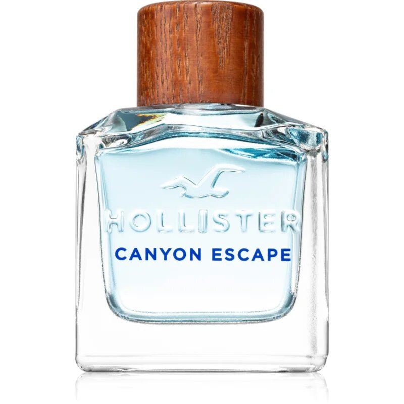 Hollister Canyon Escape for Him toaletna voda za moške 100 ml