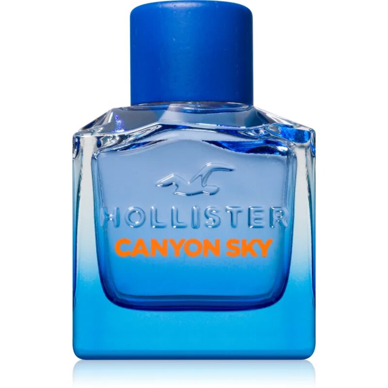 Hollister Canyon Sky For Him toaletna voda za moške 100 ml