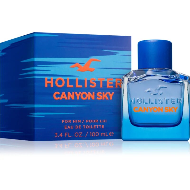 Hollister Canyon Sky For Him toaletna voda za moške 100 ml