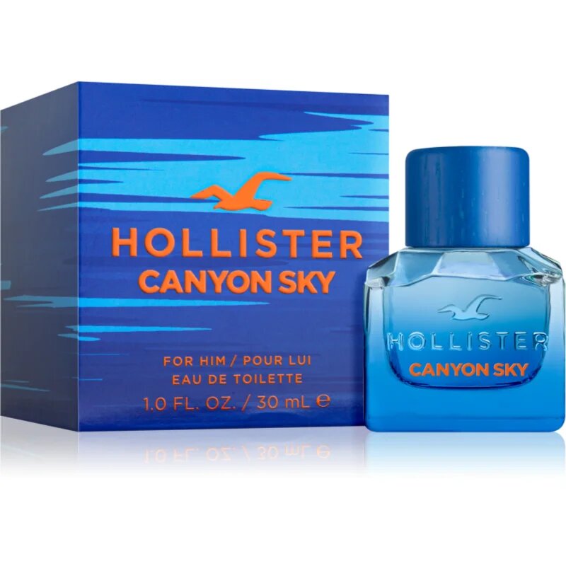 Hollister Canyon Sky For Him toaletna voda za moške 30 ml
