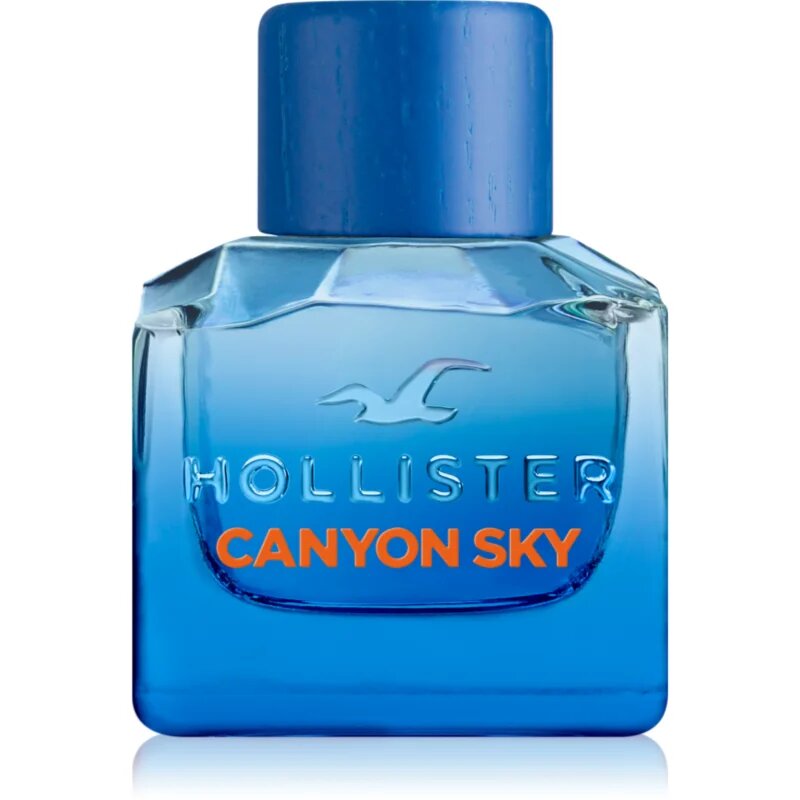 Hollister Canyon Sky For Him toaletna voda za moške 50 ml