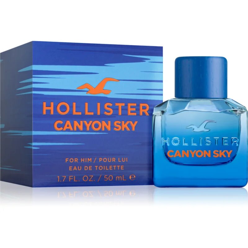 Hollister Canyon Sky For Him toaletna voda za moške 50 ml