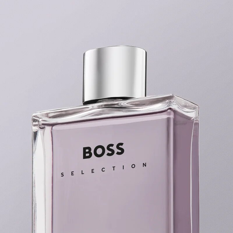 Hugo Boss BOSS Selection toaletna voda za moške 100 ml