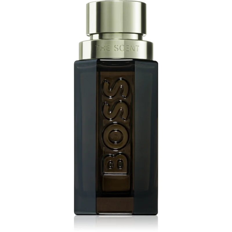 Hugo Boss BOSS The Scent Magnetic for him parfumska voda za moške 50 ml