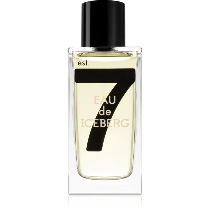 Iceberg Eau de 74 Pour Homme toaletna voda za moške 100 ml