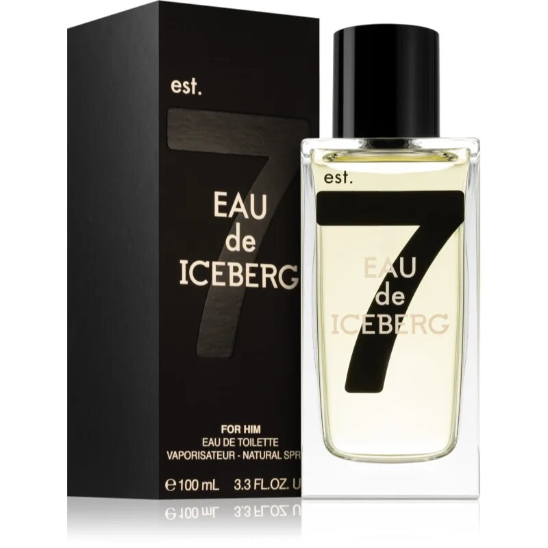 Iceberg Eau de 74 Pour Homme toaletna voda za moške 100 ml